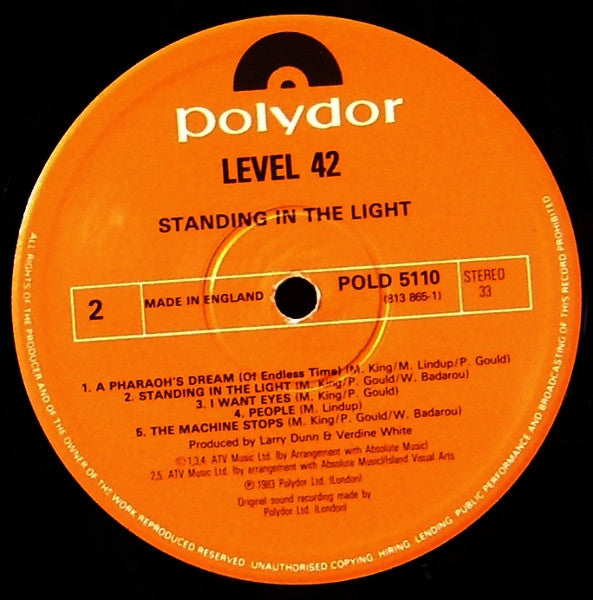 Standing In The Light