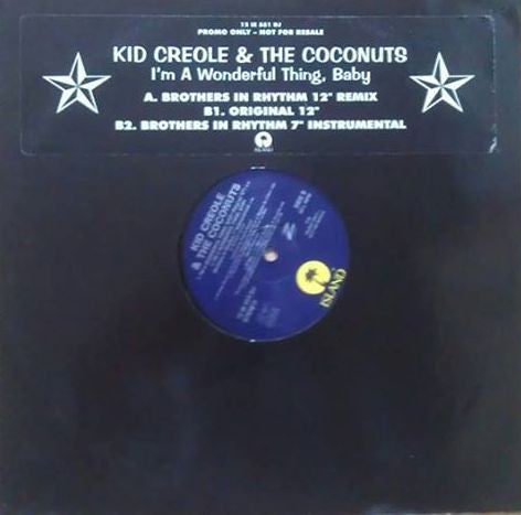 Release: I'm A Wonderful Thing, Baby (Brothers In Rhythm Remix)-Vinyl-Europe-1993-12 IS 551 DJ, 12 IS 551 DJ-993116