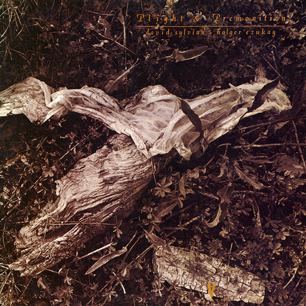 Master Release: Plight & Premonition by David Sylvian