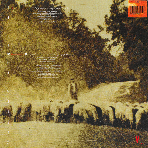 Master Release: Flux + Mutability by David Sylvian