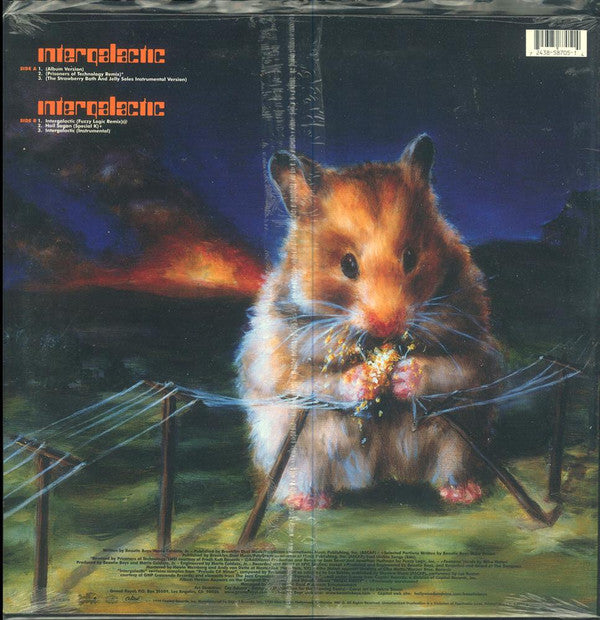 Master Release: Intergalactic by Beastie Boys