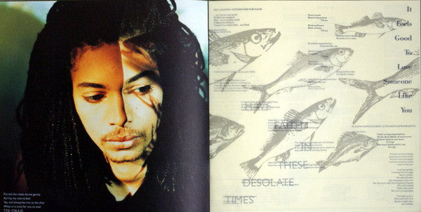 Terence Trent D'Arby's Neither Fish Nor Flesh: A Soundtrack Of Love, Faith, Hope And Destruction