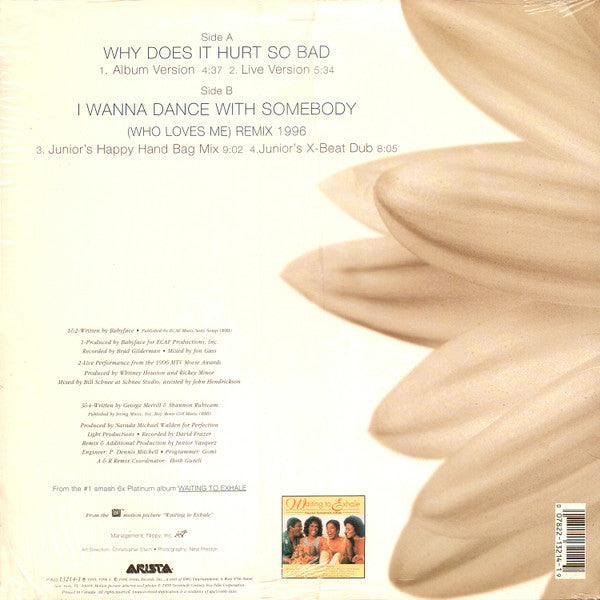 Master Release: Why Does It Hurt So Bad by Whitney Houston