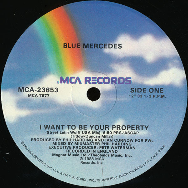 Release: I Want To Be Your Property-Vinyl-US-1988-MCA-23853-327902