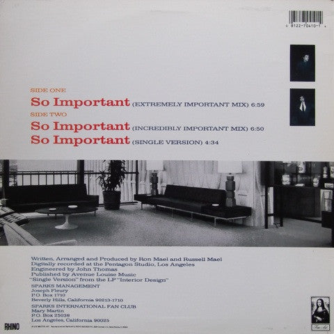 Release: So Important-Vinyl-US-1988-RNTW 70410-495293