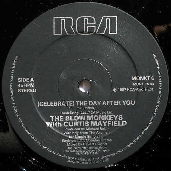 (Celebrate) The Day After You