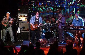 The Radiators