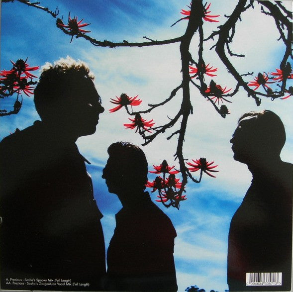 Release: Precious-Vinyl-Europe-2005-12BONG35, 12Bong35, 0094634335713-535055