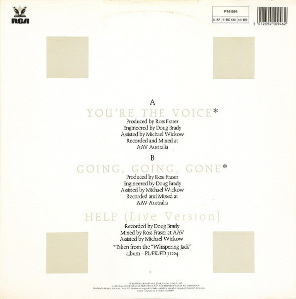 You're The Voice