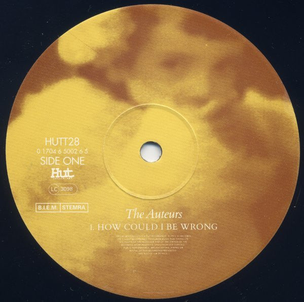 Release: How Could I Be Wrong-Vinyl-Europe-1993-HUTT 28, HUTT28, 0 1704 6 5002 6 5-903018