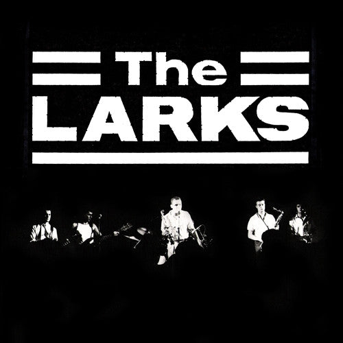 The Larks (2)