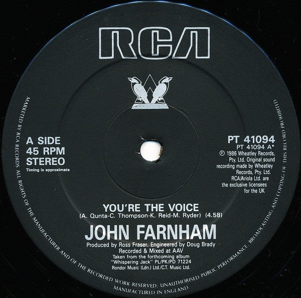 You're The Voice
