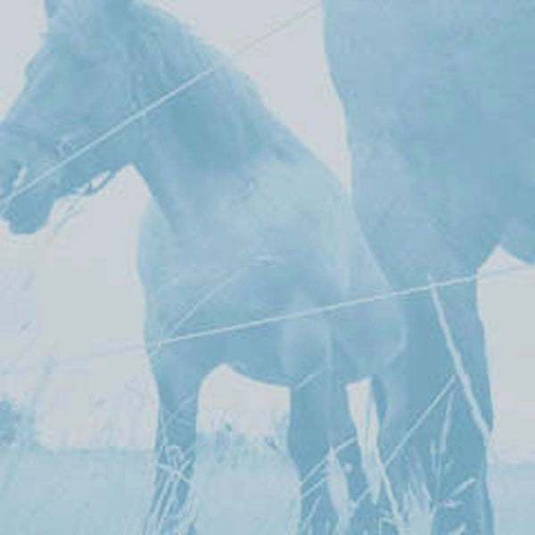 Release: Unknown Release-Vinyl-Germany-2004-CCCO 00-241862