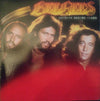 Bee Gees - Spirits Having Flown (Vinyl, LP, Album)