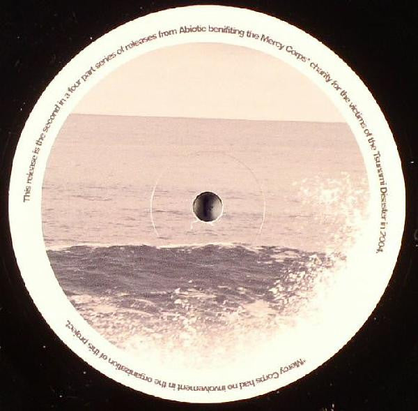 Master Release: Tsunami Aid Vol. 2 by Various