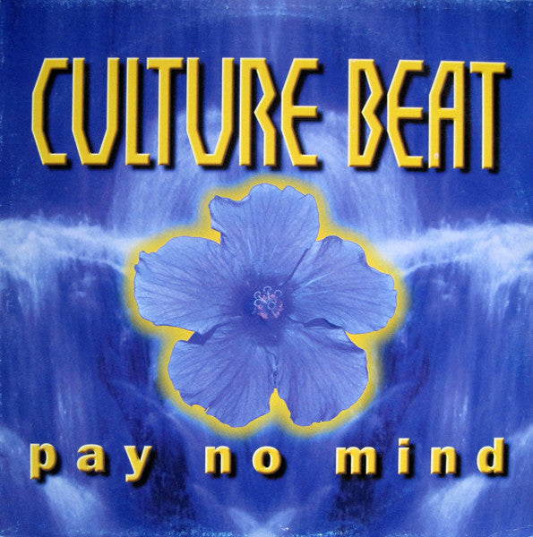 Master Release: Pay No Mind by Culture Beat