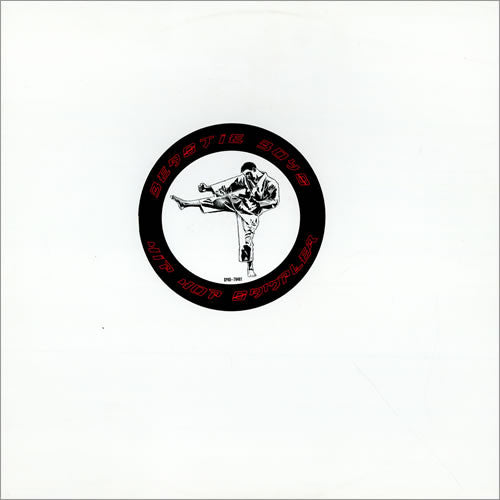 Master Release: Hip Hop Sampler by Beastie Boys