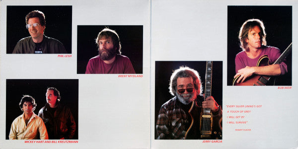 Master Release: In The Dark by The Grateful Dead
