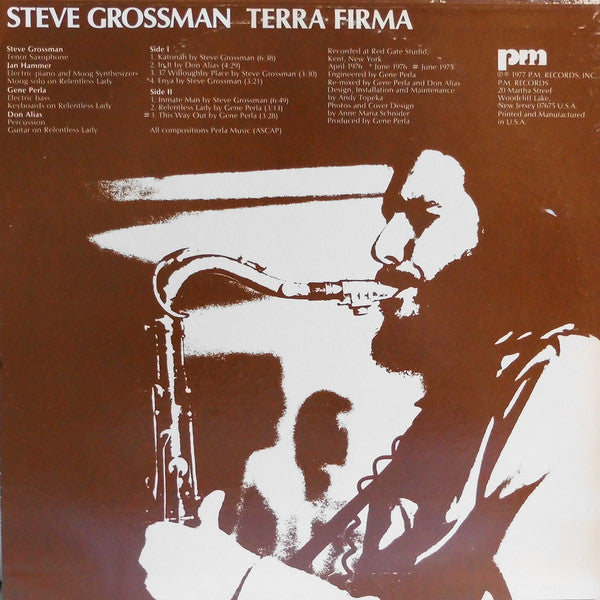 Master Release: Terra Firma by Steve Grossman