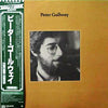 Peter Gallway - Peter Gallway (Vinyl, LP, Album) Near Mint (NM or M-) / Very Good (VG)