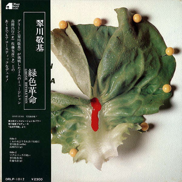 Grüne Revolution = 緑色革命