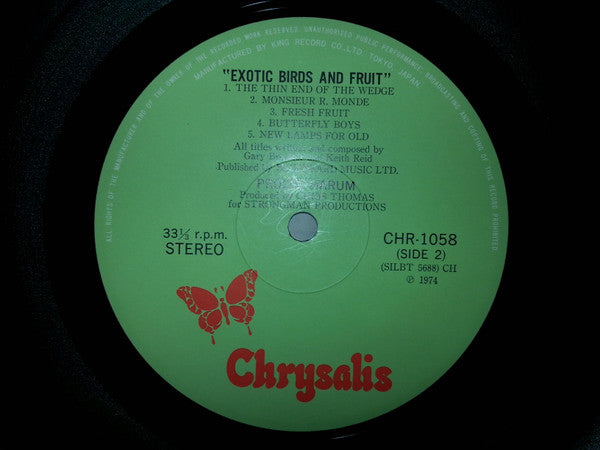 Exotic Birds And Fruit
