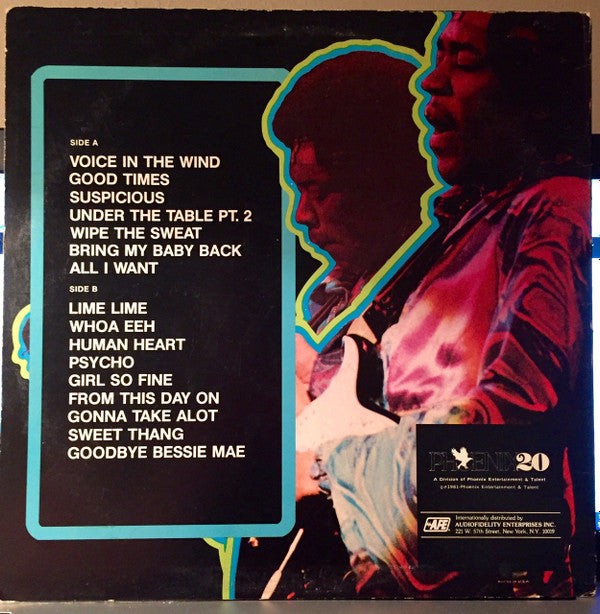 Master Release: Hendrix (16 Great Songs) by Jimi Hendrix