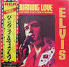 Elvis Presley - Burning Love And Hits From His Movies Vol. 2 = バーニング・ラブ (Vinyl, LP, Compilation, Stereo) Very Good Plus (VG+) / Very Good Plus (VG+)