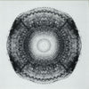 Mogano - Sycomore (Vinyl, 12