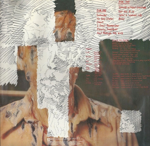 Peter Gabriel
