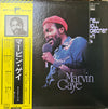 Marvin Gaye - New Soul Greatest Hits 14 (Vinyl, LP, Compilation, St...