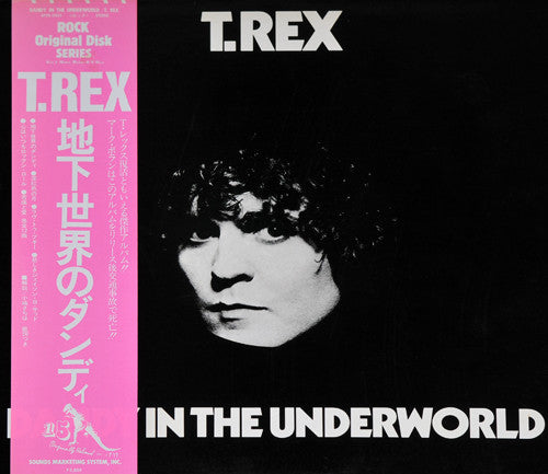 Master Release: Dandy In The Underworld by T. Rex