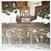The Surf Break Band - Surf Break From Jamaica (Vinyl, LP, Album)