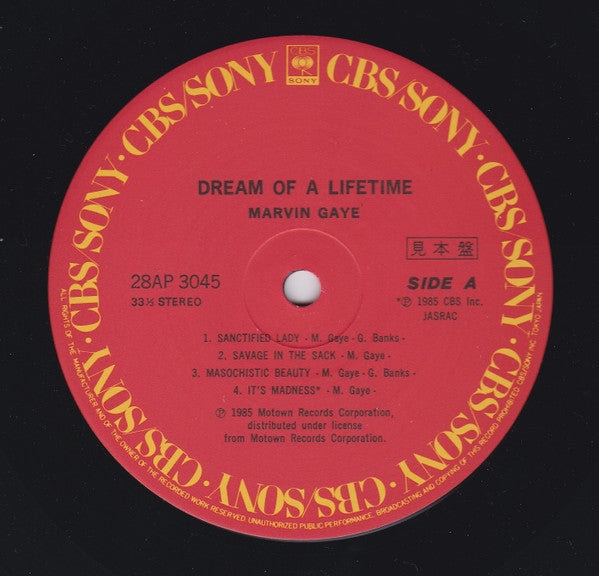 Dream Of A Lifetime