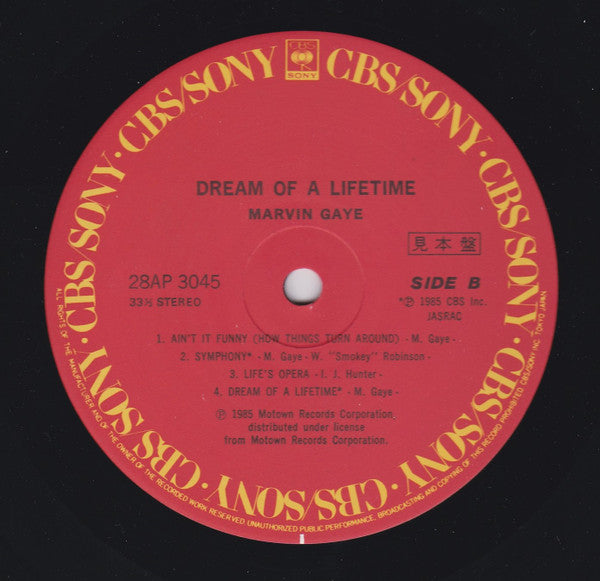 Dream Of A Lifetime