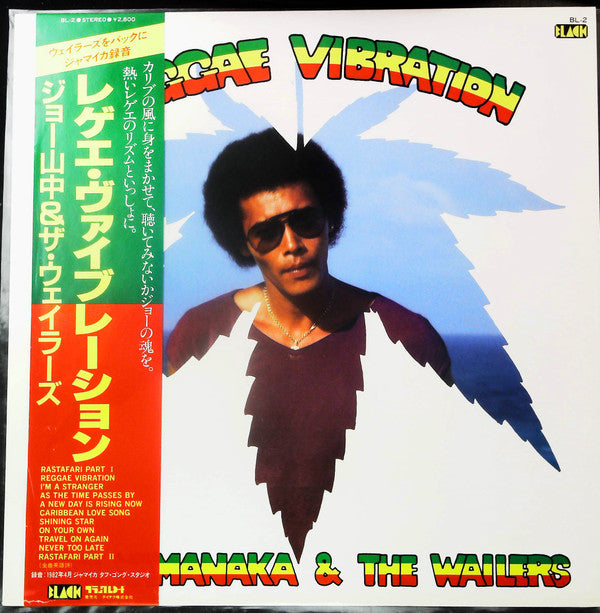 Reggae Vibration