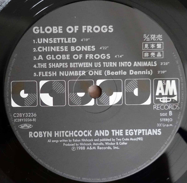 Globe Of Frogs