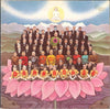 George Harrison - Dark Horse (Vinyl, LP, Album, Stereo) Very Good Plus (VG+) / Very Good (VG)