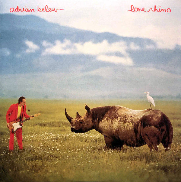 Lone Rhino