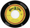 The Lovin' Spoonful - Summer In The City / Butchie's Tune (Vinyl, 7