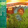 The Beach Boys - Endless Summer = ベスト20 / 終わりなき夏 (Vinyl, LP, Album, Compilation, Stereo) Very Good (VG) / Very Good (VG)