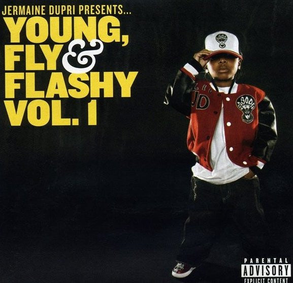 Master Release: Young, Fly & Flashy Vol. 1 by Various