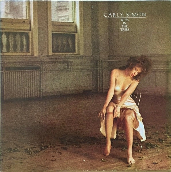 Release: Boys In The Trees-Vinyl-US-1978-6E-128-4183359