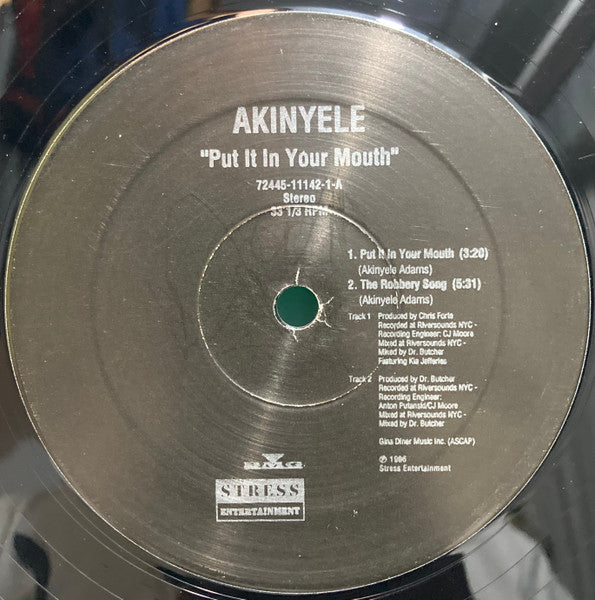 Master Release: Put It In Your Mouth by Akinyele