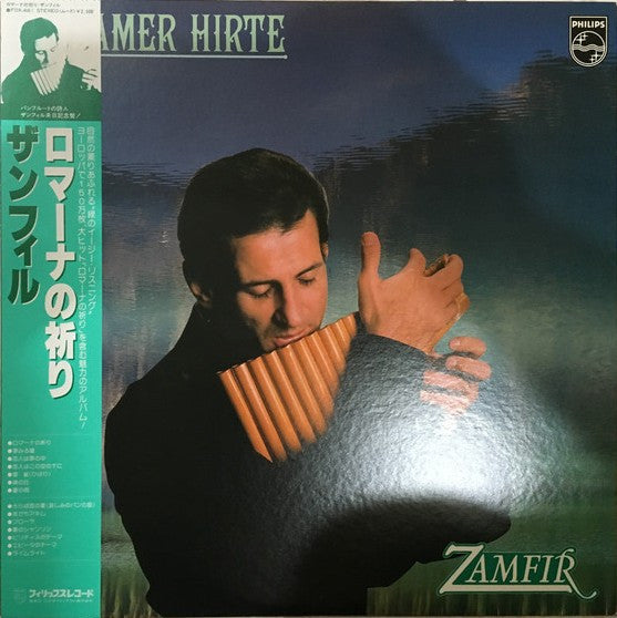 Einsamer Hirte