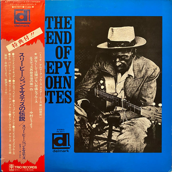 The Legend Of Sleepy John Estes