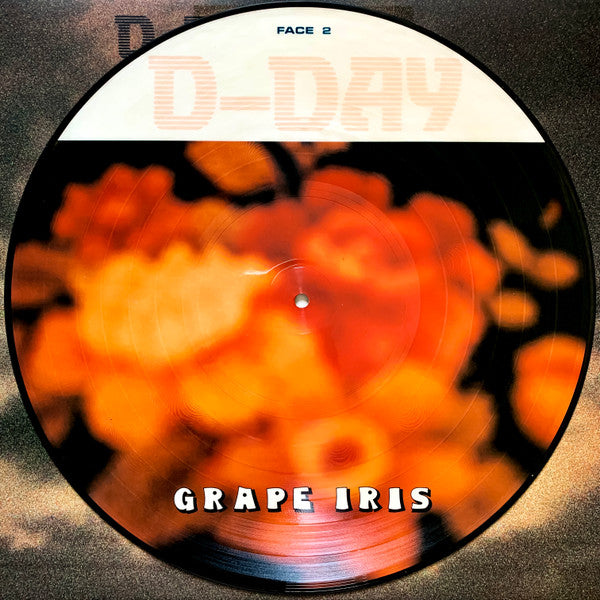 Grape Iris