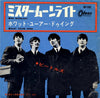 The Beatles - Mr Moonlight / What You're Doing (Vinyl, 7