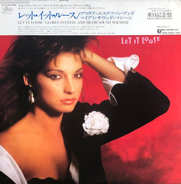 Master Release: Let It Loose by Miami Sound Machine