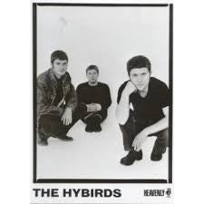 The Hybirds